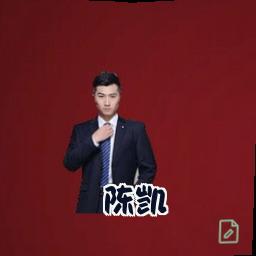陈凯
